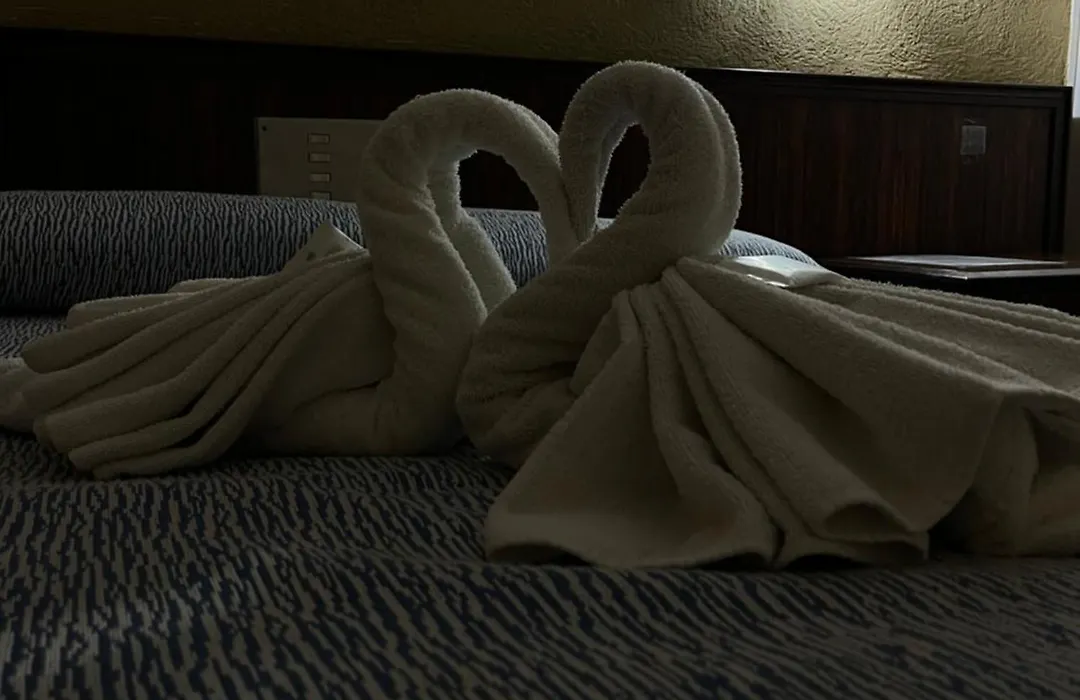 Hotel Flamingo-1